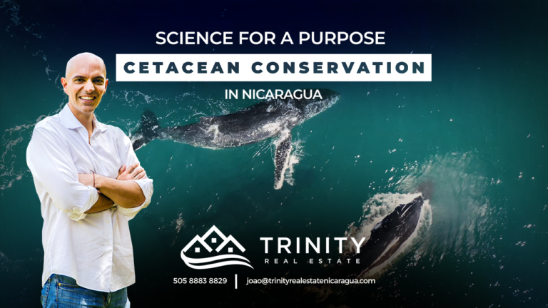 Science Purpose Cetacian Conservation in Nicaragua