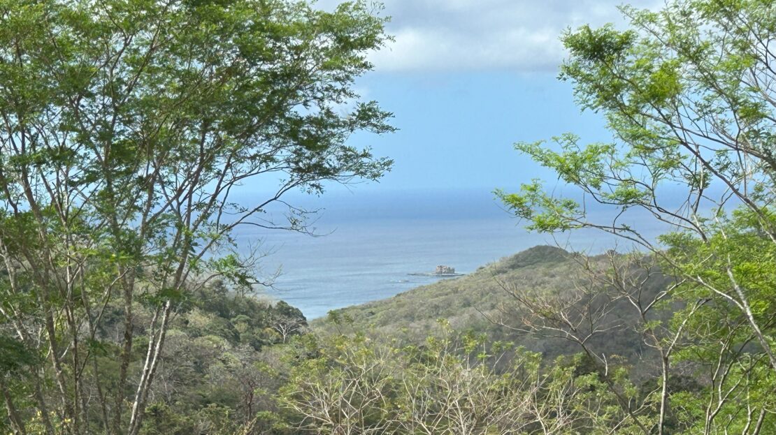 video image