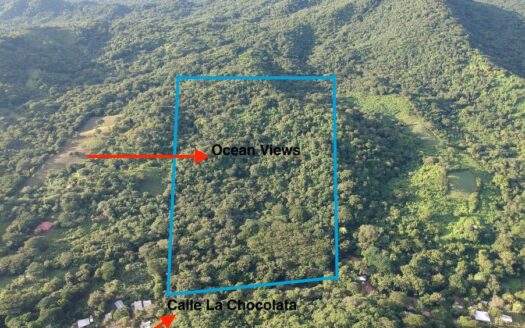 40 Acres with Ocean View & Costanera Road Access in SJDS, Nicaragua, North San Juan del sur - Image 1