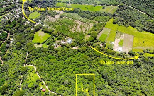 Embrace nature and serenity at Lot 51 of Las Fincas, San Juan del Sur, Rivas - Image 1