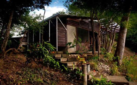 Casa Selva – Where Architecture Meets the Jungle and the Ocean, San Juan del Sur, Rivas - Image 1